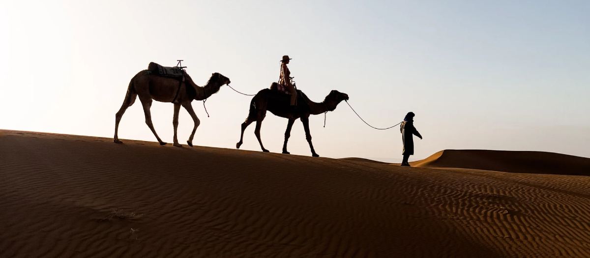 Desert Camp Stay vs Desert Day Trip: Which Is Right for Your Trip?