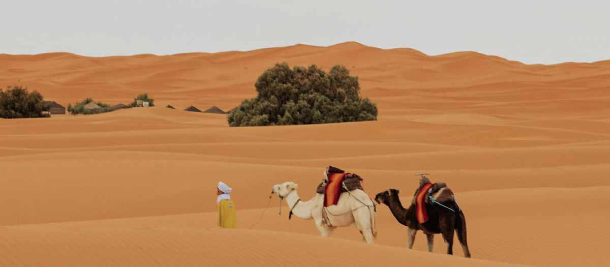 Nexus Marrakech vs Agafay Pearl Camp: Which Suits Your Group?